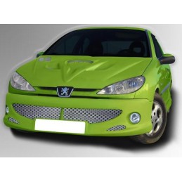 Parachoques delantero Peugeot 206 mod VENUS