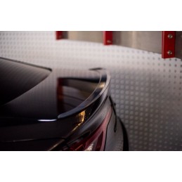 ALERON LIP RENAULT TALISMAN 2015  MAXTON