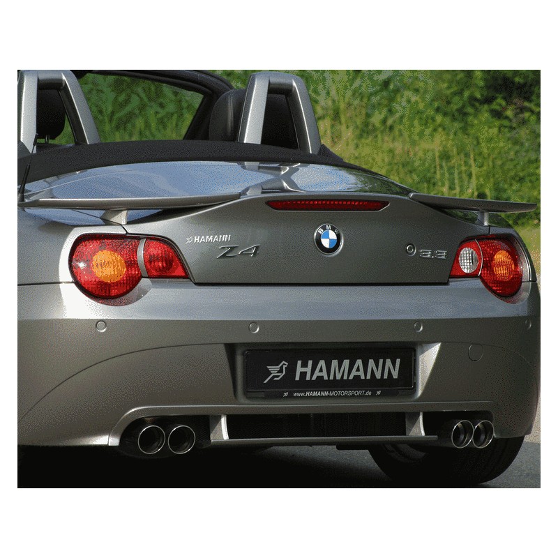 ALERON TRASERO  2 PIEZAS  BMW Z4 M ROADSTER