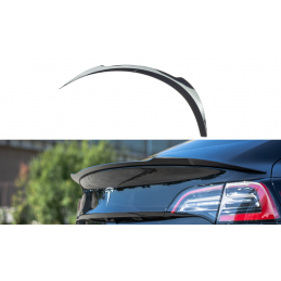ALERON LIP TESLA MODEL 3...