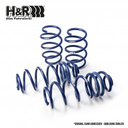 PACK MUELLES H&R +...
