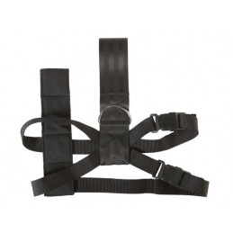 CINTURON SEGURIDAD PARA PERRO  ldquo  M  ldquo   MAX 60 CM 