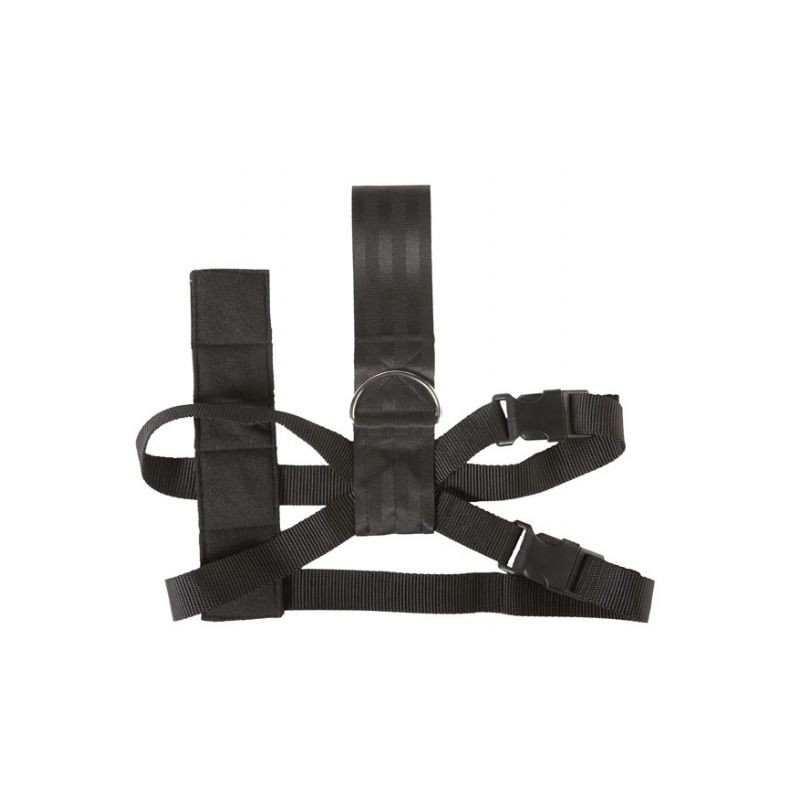 CINTURON SEGURIDAD PARA PERRO  ldquo  M  ldquo   MAX 60 CM 
