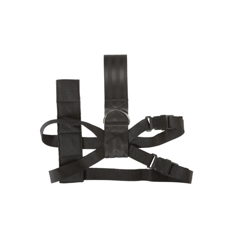 CINTURON SEGURIDAD PARA PERRO  ldquo  S  ldquo   MAX 50 CM 
