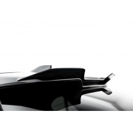 ALERON LIP TOYOTA C-HR...
