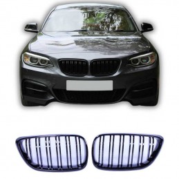Parrilla riñones para BMW...