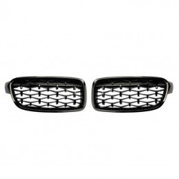 Riñones parrilla BMW serie...