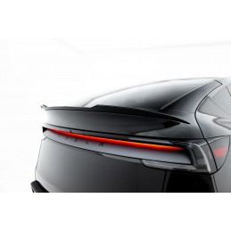 ALERON LIP TESLA MODEL Y...