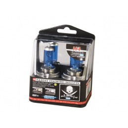 ESTUCHE BOMBILLA  quot BANDIT  quot  H 4 12V  55W 