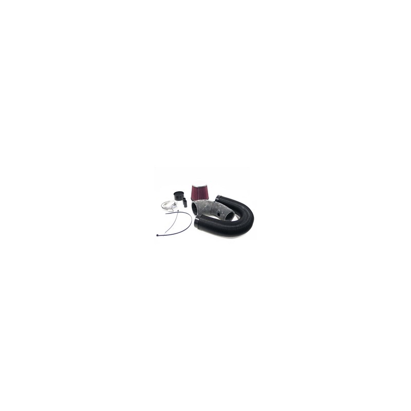 Filtro de admision directa K amp N Citroen ZX