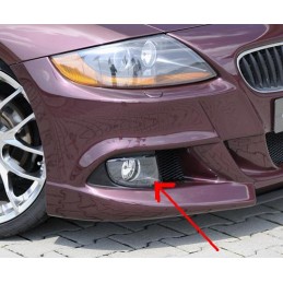 Faros antiniebla derecho y izquierdo para paragolpes del Z4 Rieg
