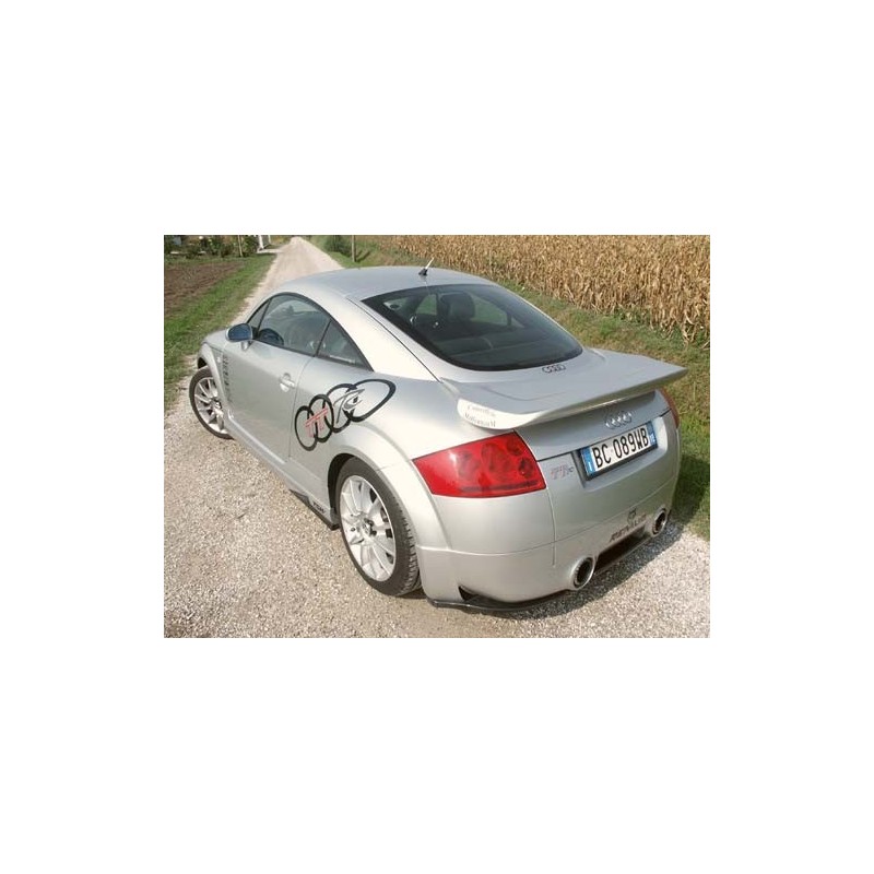 Aleron trasero carbono Audi TT 8N CADAMURO