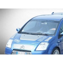 Kit entradas de aire Citroen C2 CADAMURO