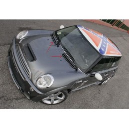 Entradas de aire carbono Mini Cooper Cadamuro Design