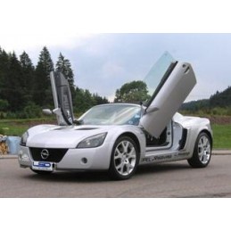 Puertas verticales LSD Opel Speedster E00 Targa 9 01