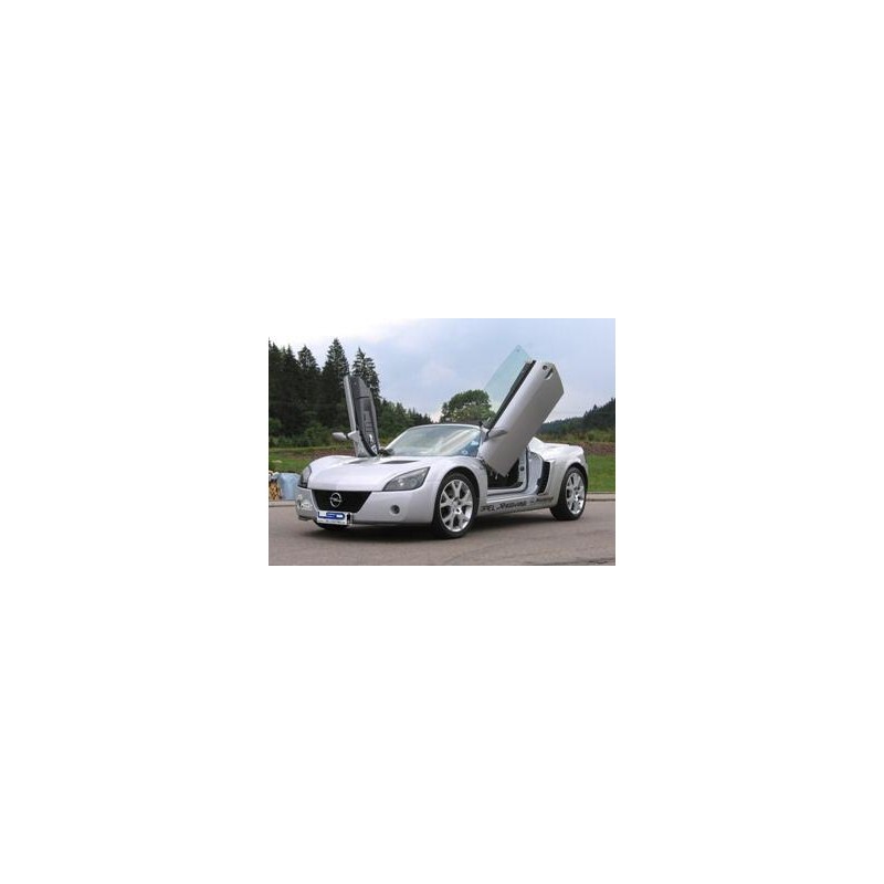Puertas verticales LSD Opel Speedster E00 Targa 9 01