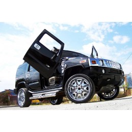 Puertas verticales LSD HUMMER H2