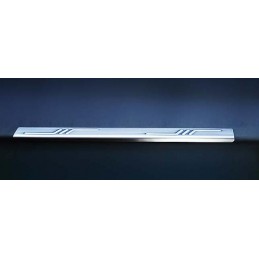 Umbral Puerta Acero Inoxidable CITROEN C 4   PICASSO 09 06 gt  4 un
