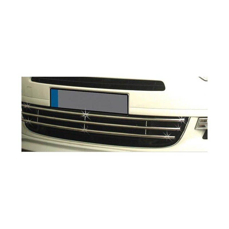 Protector de rejilla Acero inoxidable Citroen C5 04 08