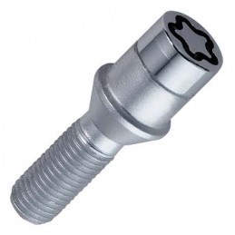 Tornillos Antirrobo de apriete interno 12x1 25 24mm 17mm