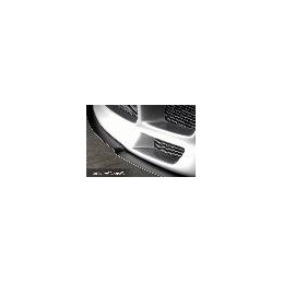 ESPADA DELANTERA CON FORMA PARA ANADIDO VW  EOS