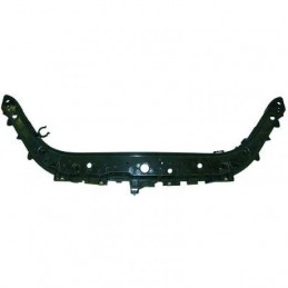 CHAPA DE CIERRE RENAULT SCENIC  06 09