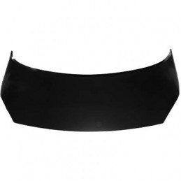 CAPO RENAULT SCENIC 06 09