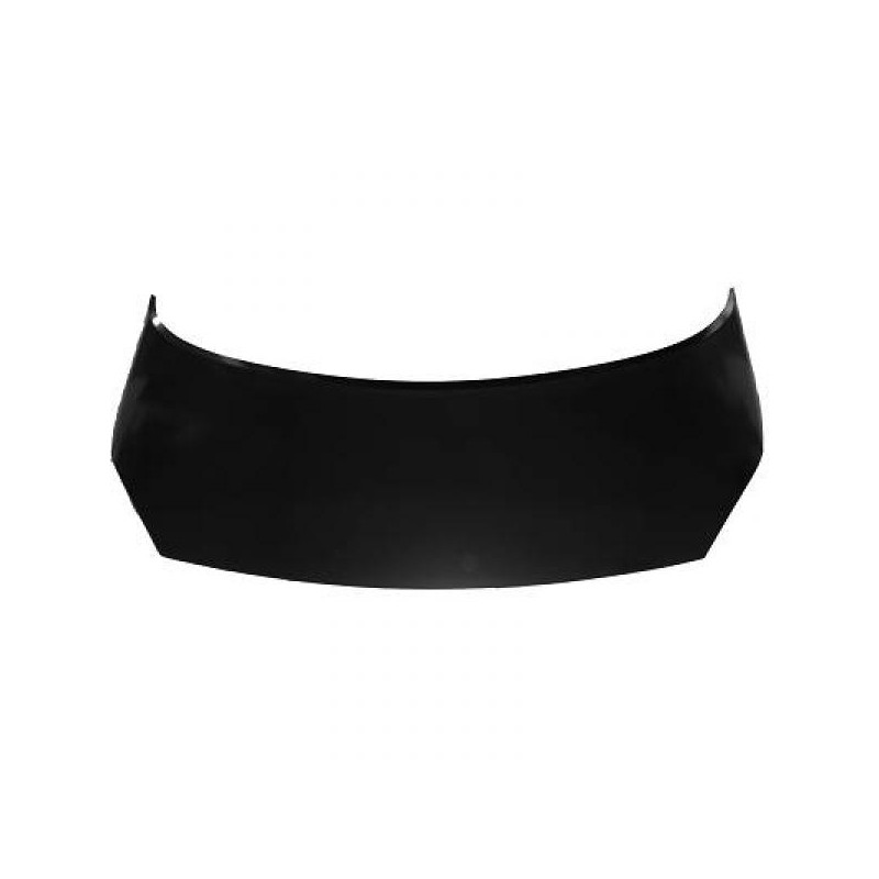 CAPO RENAULT SCENIC 06 09