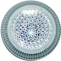 INTERMITENTE LATERAL DCHO  IZQ FORD CONNECT  04  gt  gt BLANCO      PR