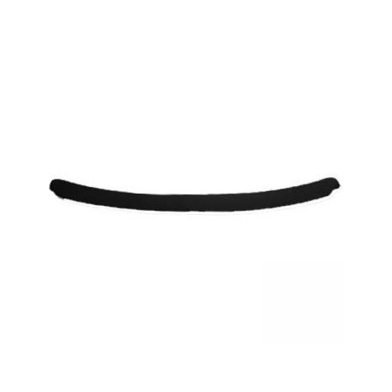 VISERA CRISTAL LUNA TRASERA BMW E46  98 05  SOLO LIMOUSINE