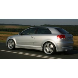Faldones laterales Audi A3 8P OETTINGER