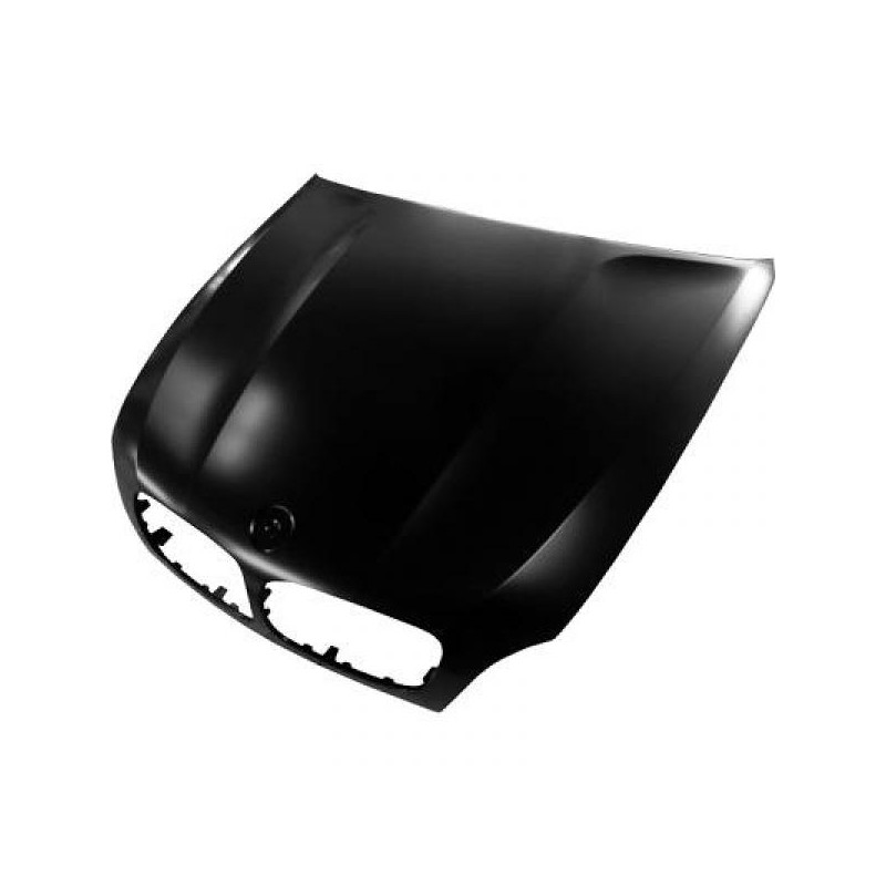 CAPO BMW X5  07 10  gt  gt  ACERO