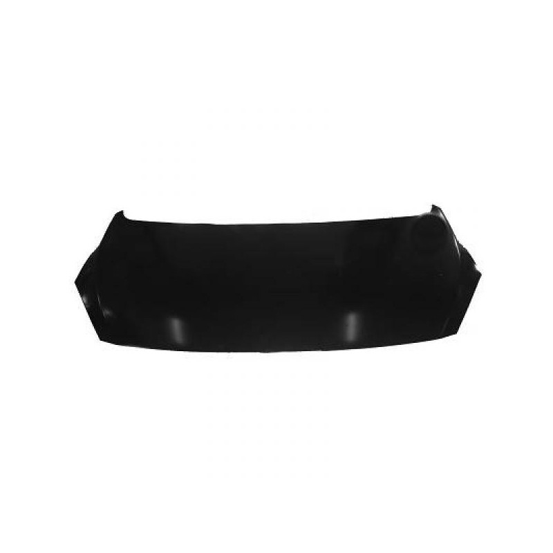 CAPO PEUGEOT 307 05 07 ACERO