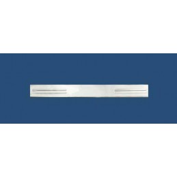 Umbral Puerta Acero Inoxidable PEUGEOT 206 10 98 06 06 2 unidade