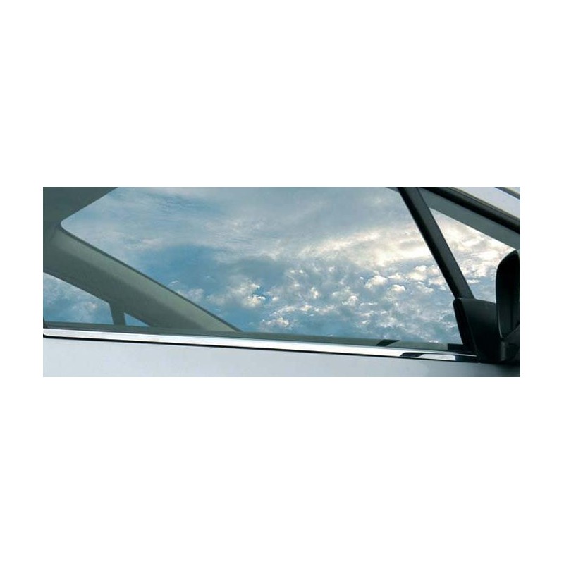 CUBRE MARCO VENTANA 4 unidades ACERO INOXIDABLE RENAULT CLIO II 