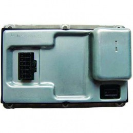 INTERRUPTOR XENON RENAULT LAGUNA 01 05 XENON 5G