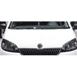 CAPO SKODA CITIGO 11    gt  gt 