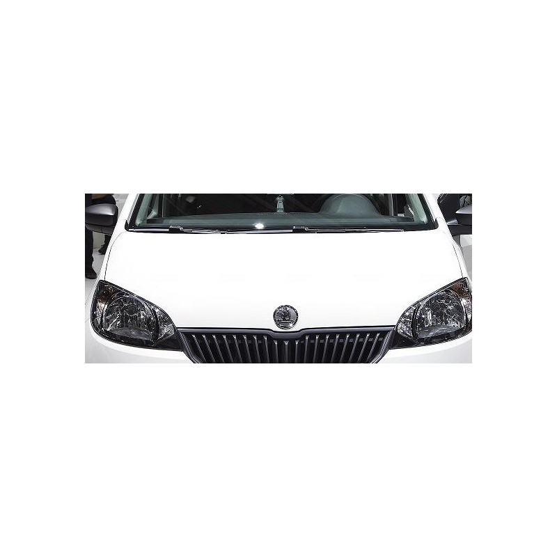 CAPO SKODA CITIGO 11    gt  gt 