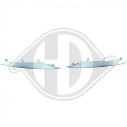 Proteccion izquierda BMW X5  07 10 plata imprimado con  PDC 
