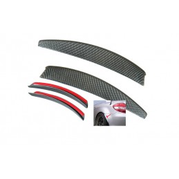 CUBIERTA CARBONO GUARDABARROS TRASERO MERCEDES SLK R171
