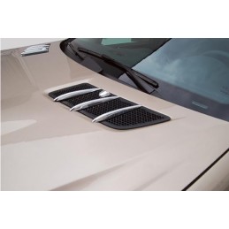 BARRAS CROMADAS INOX ENTRADA AIRE CAPO MERCERDES GL X164