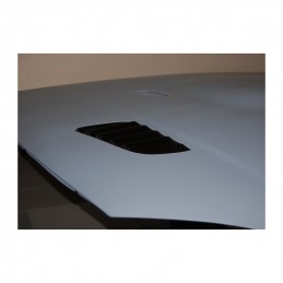 Capo de fibra BMW E87 E82 E81 look M3 GTR