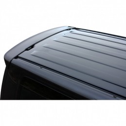 Aleron de techo Volkswagen Transporter T6 2015 