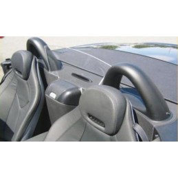 DEFLECTOR DE AIRE MERCEDES SLK  R171 