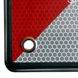 PLACA V20 FLEXIBLE HOMOLGADA