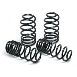 Muelles H amp R BMW 5 Serie G31 Touring 2 4WD 2017  35mm