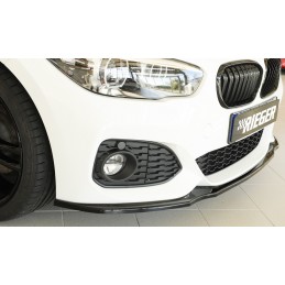 Espada delantera BMW F20 21 2015  PACK M RIEGER