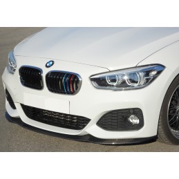 Espada delantera BMW F20 21 2015  PACK M RIEGER