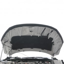 PROTECTOR CAPO LOOK CARBONO DACIA DUSTER 2011 2017