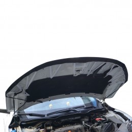 PROTECTOR CAPO DACIA DUSTER 2011 2017